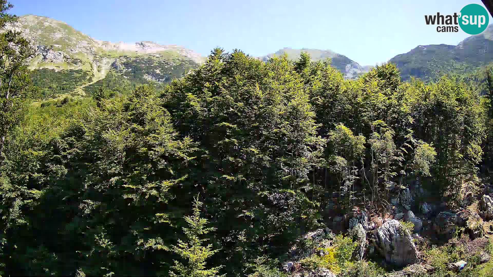 Livecam PLANINA RAZOR (1315) | vue sur Vogel et Globoko