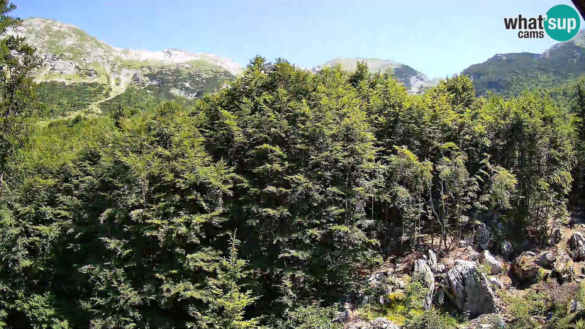 PLANINA RAZOR webcam (1315) | view to Vogel and Globoko