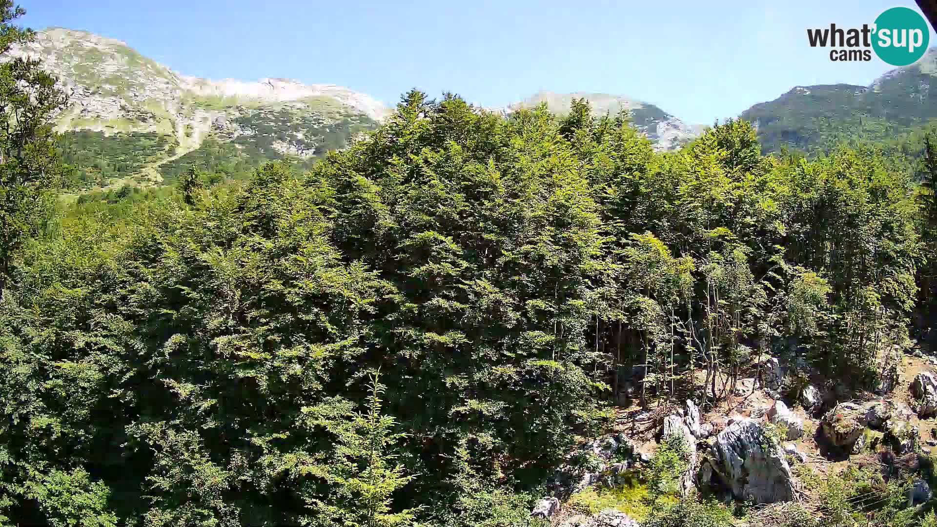 PLANINA RAZOR webcam (1315) | view to Vogel and Globoko