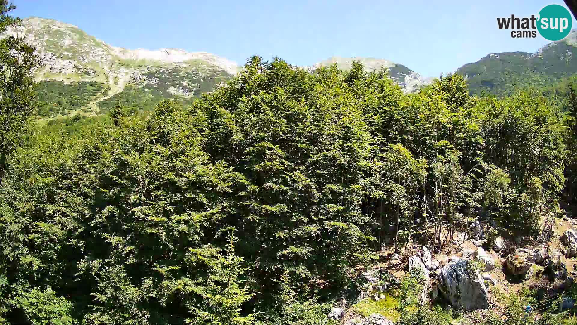 PLANINA RAZOR web kamera (1315) | pogled na Vogel i Globoko