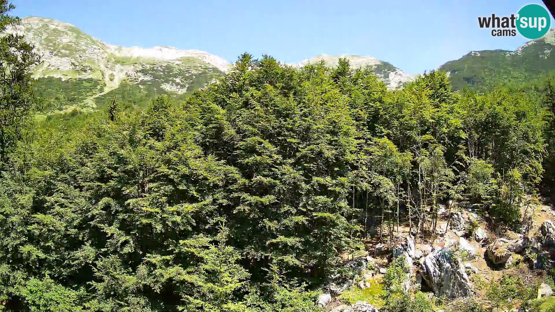 PLANINA RAZOR webcam (1315) | view to Vogel and Globoko