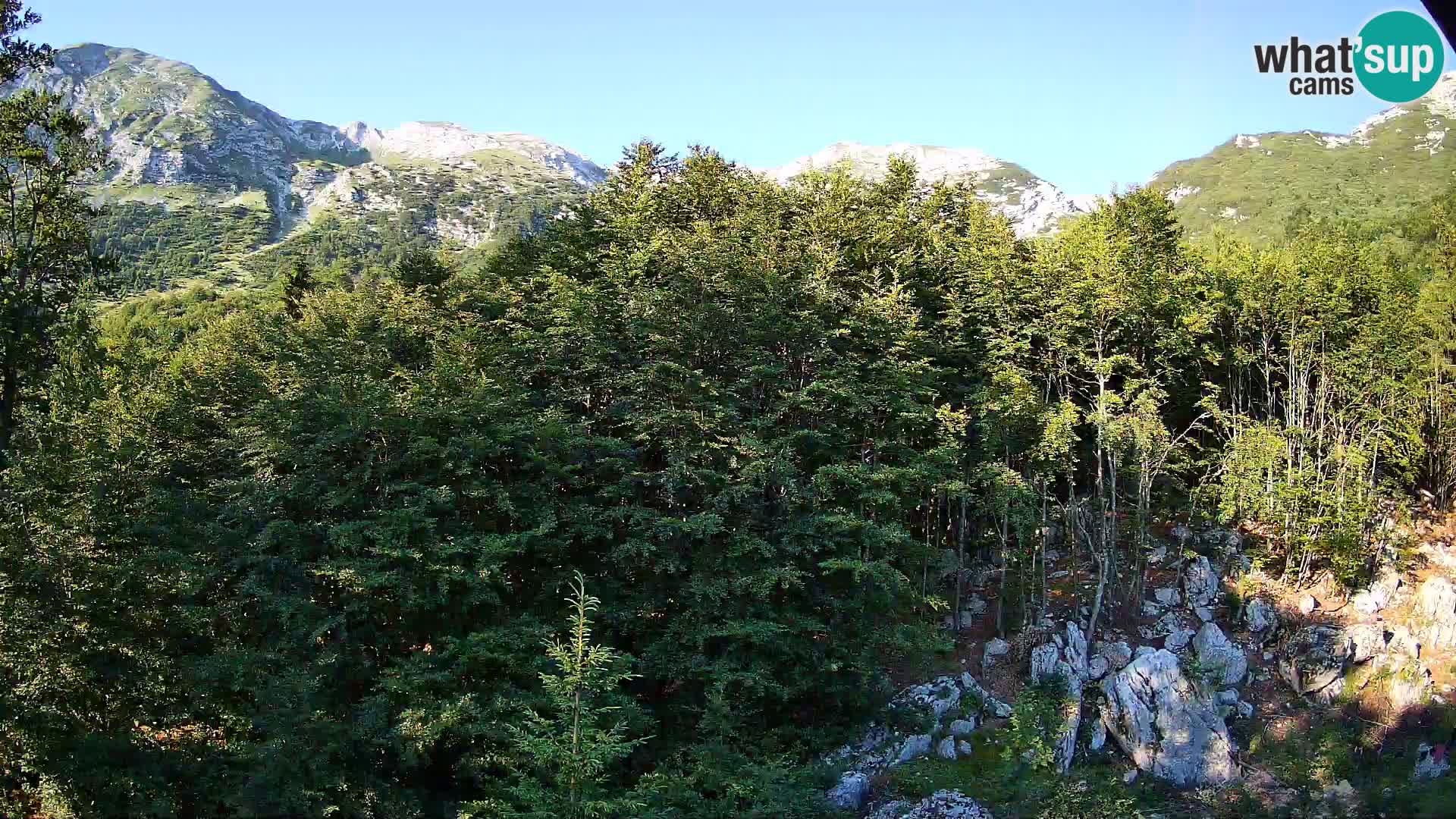 PLANINA RAZOR kamera (1315) | pogled na Vogel in Globoko