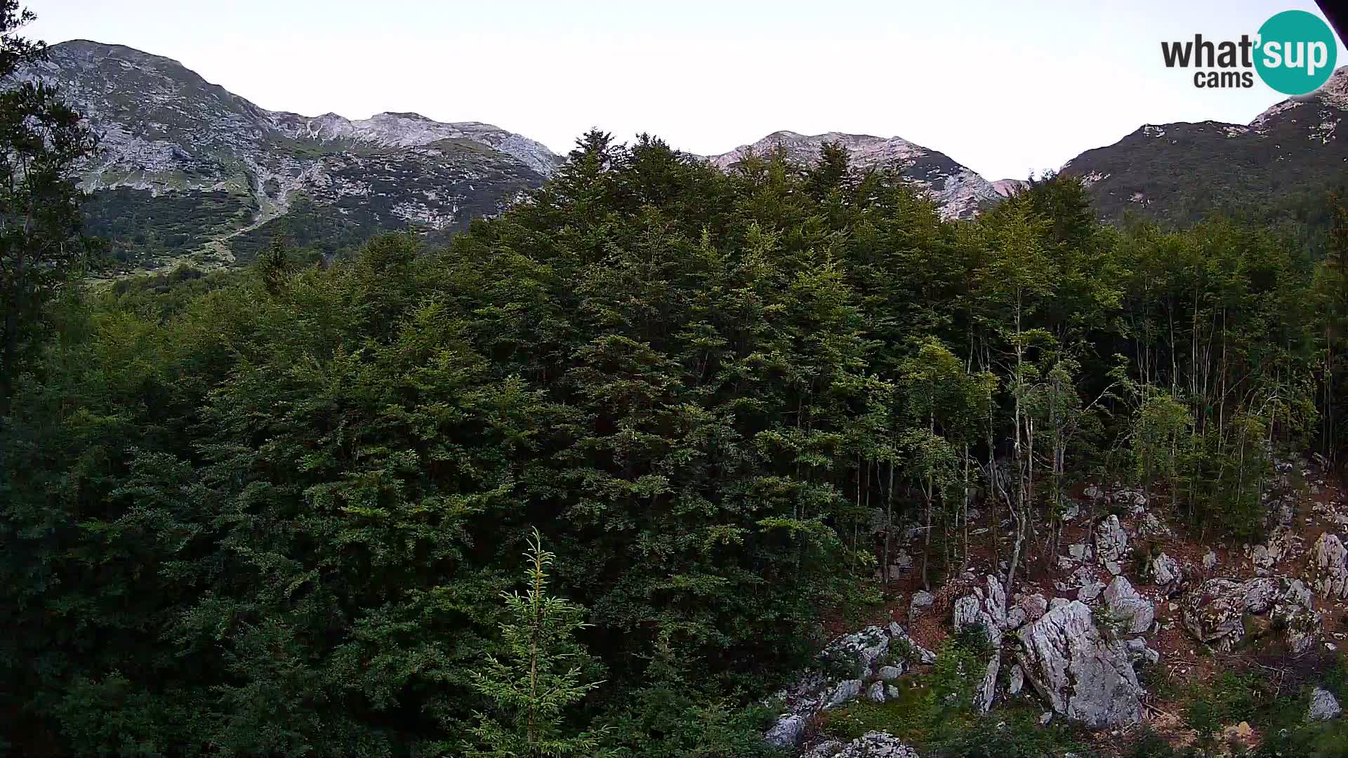 PLANINA RAZOR kamera (1315) | pogled na Vogel in Globoko