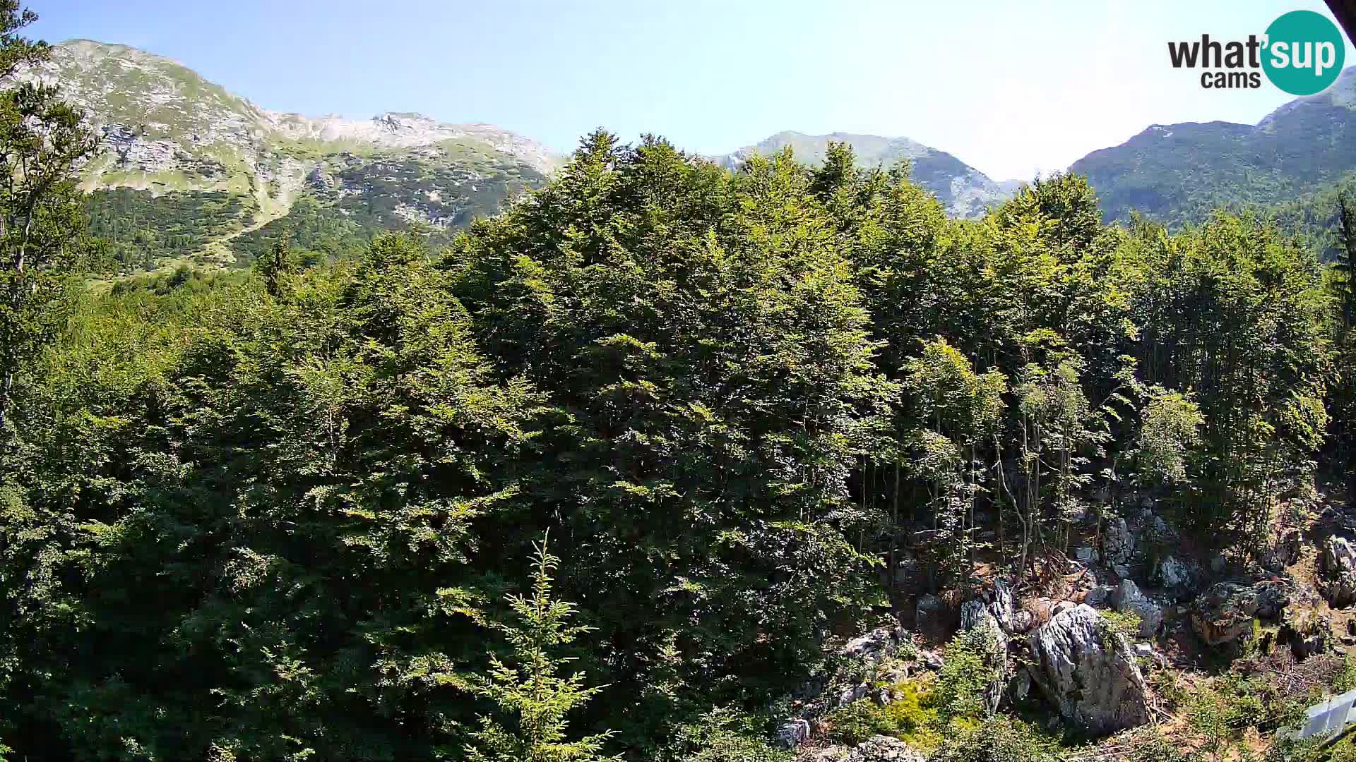 PLANINA RAZOR webcam (1315) | view to Vogel and Globoko