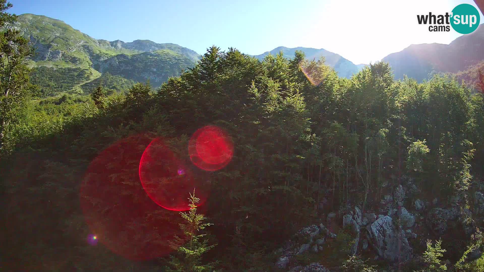 Webcam PLANINA RAZOR (1315) | Blick auf Vogel und Globoko
