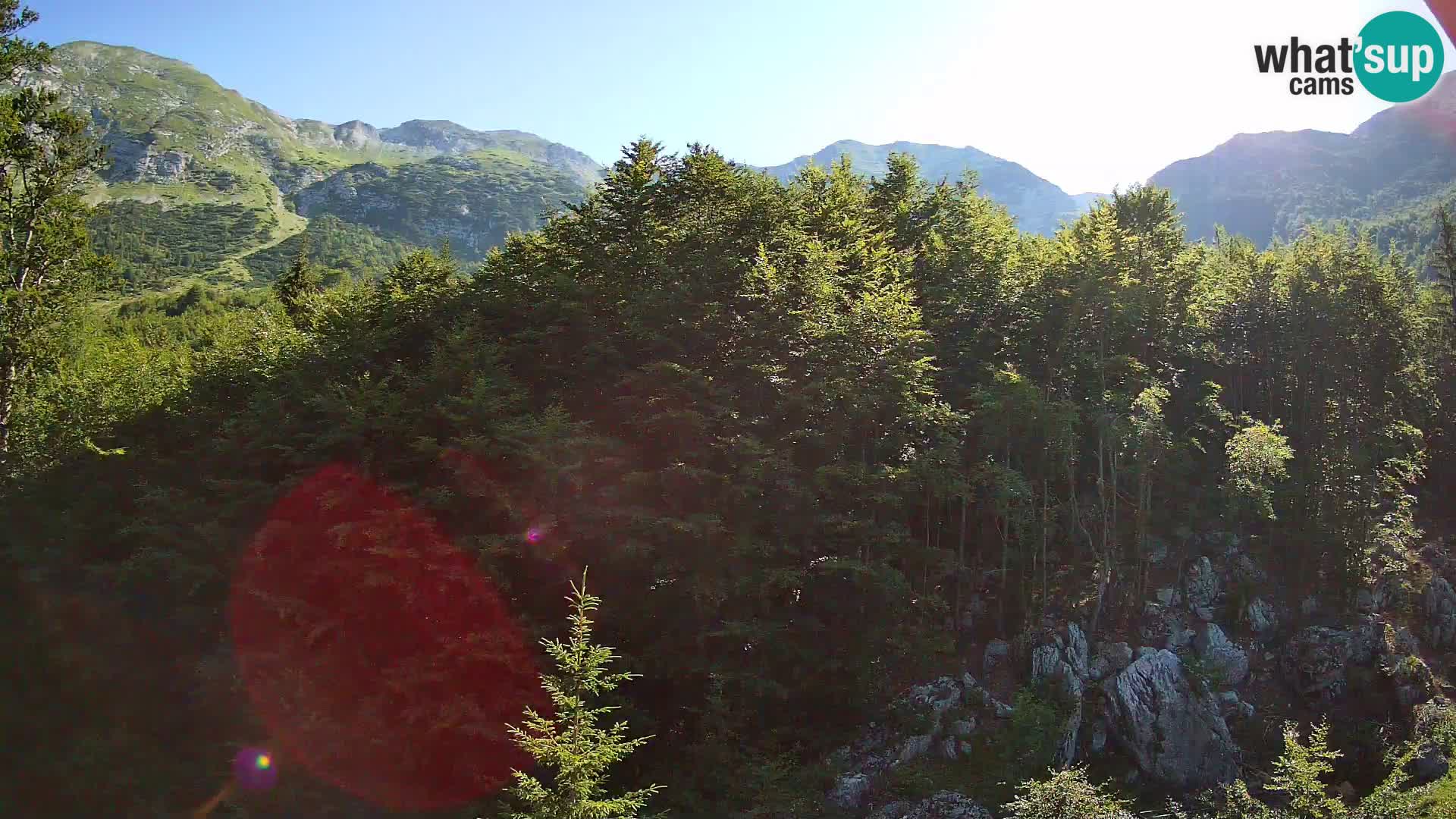 Webcam PLANINA RAZOR (1315) | Blick auf Vogel und Globoko