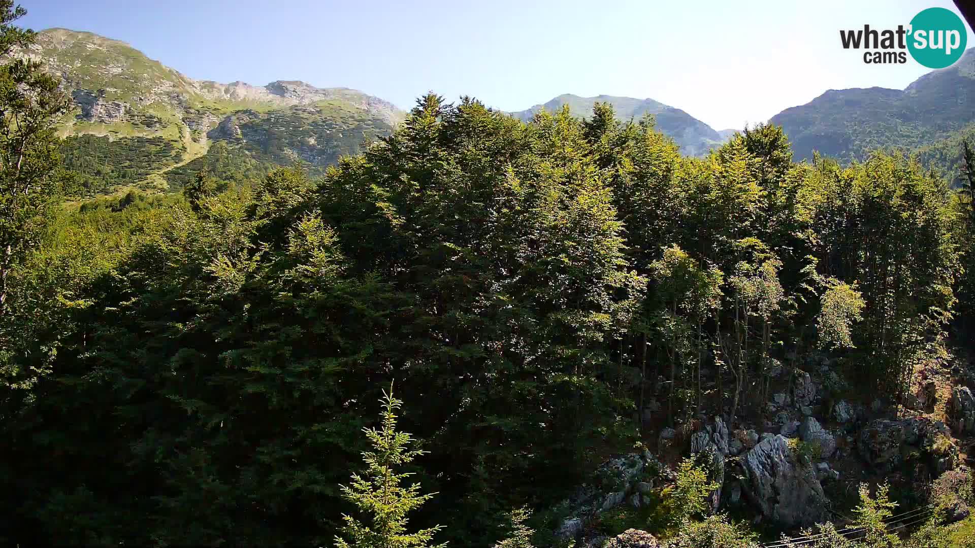 Webcam PLANINA RAZOR (1315) | Blick auf Vogel und Globoko