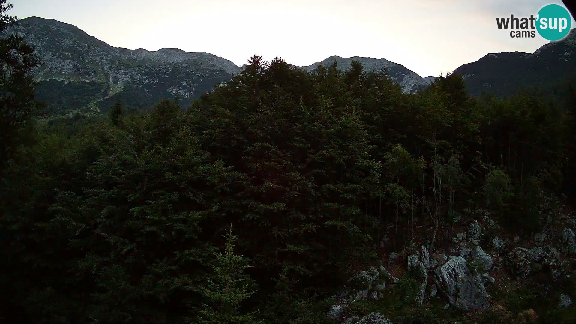 PLANINA RAZOR web kamera (1315) | pogled na Vogel i Globoko