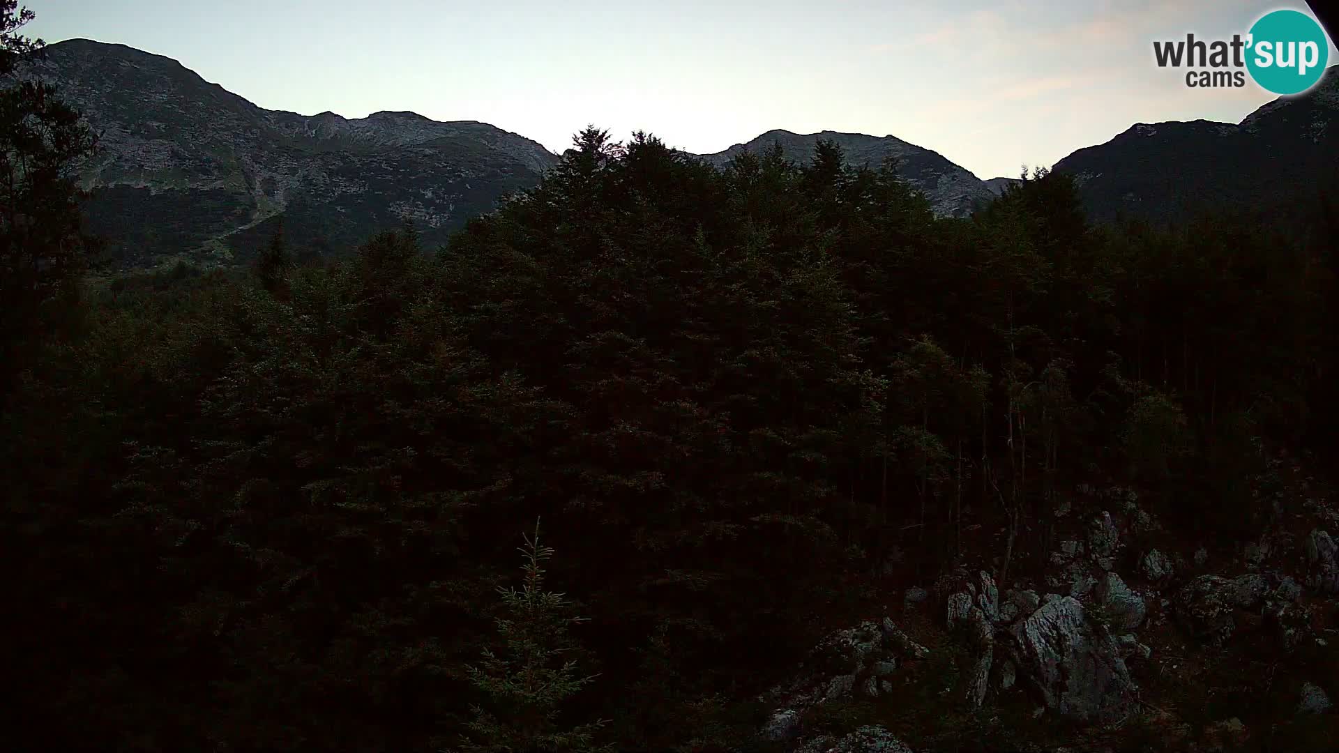 Webcam PLANINA RAZOR (1315) | Blick auf Vogel und Globoko