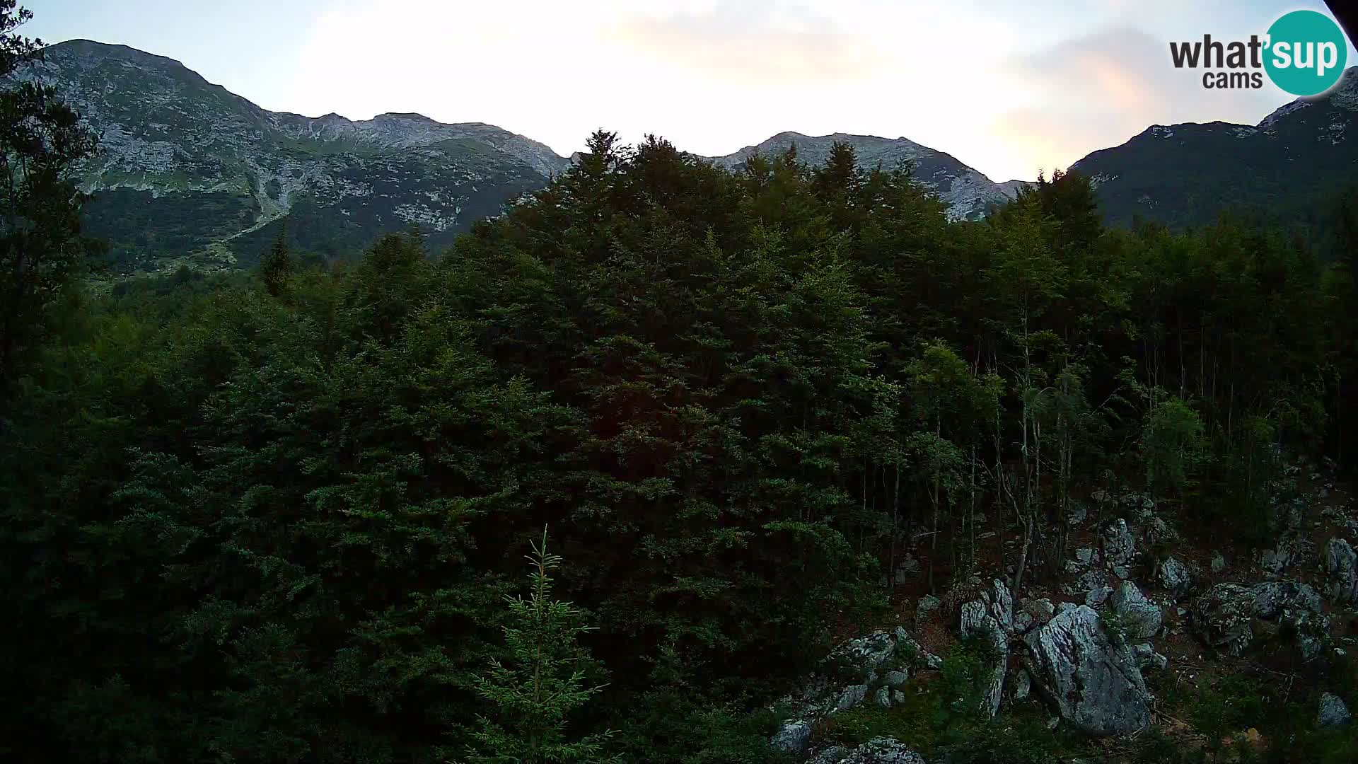 PLANINA RAZOR webcam (1315) | view to Vogel and Globoko