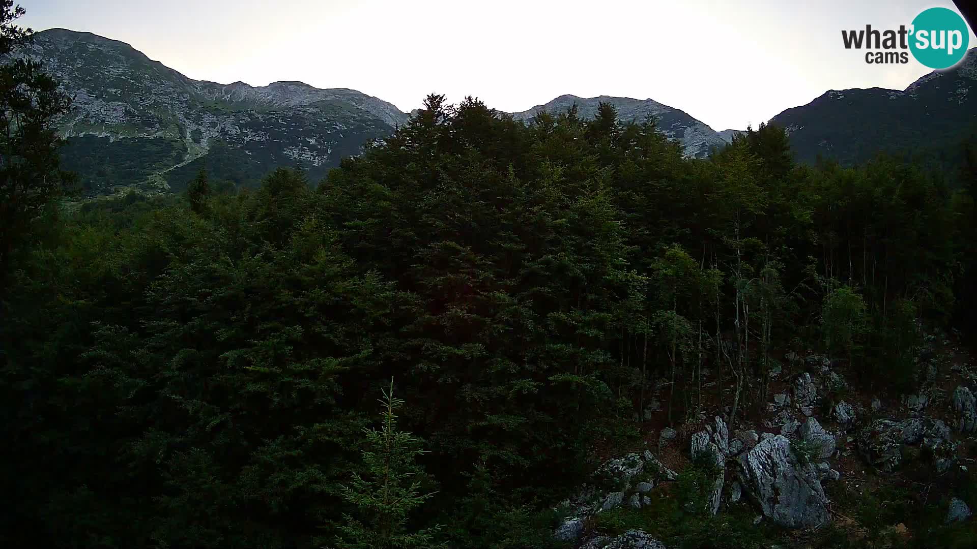 Livecam PLANINA RAZOR (1315) | vue sur Vogel et Globoko