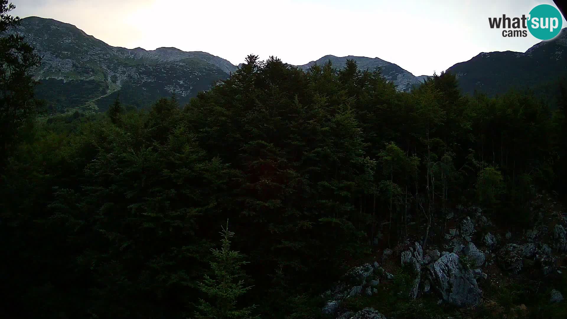 Webcam PLANINA RAZOR (1315) | Blick auf Vogel und Globoko
