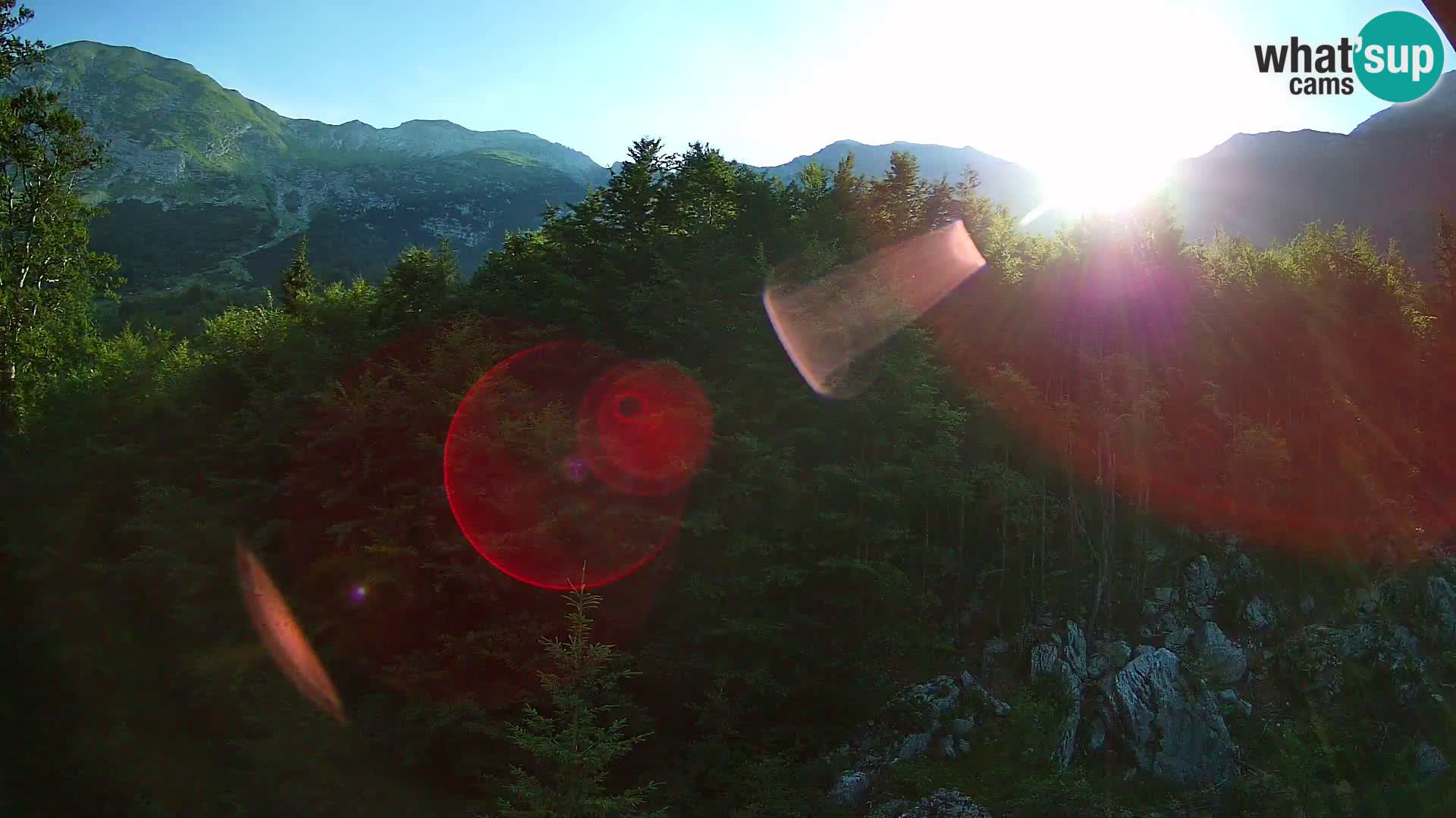 Webcam PLANINA RAZOR (1315) | Blick auf Vogel und Globoko