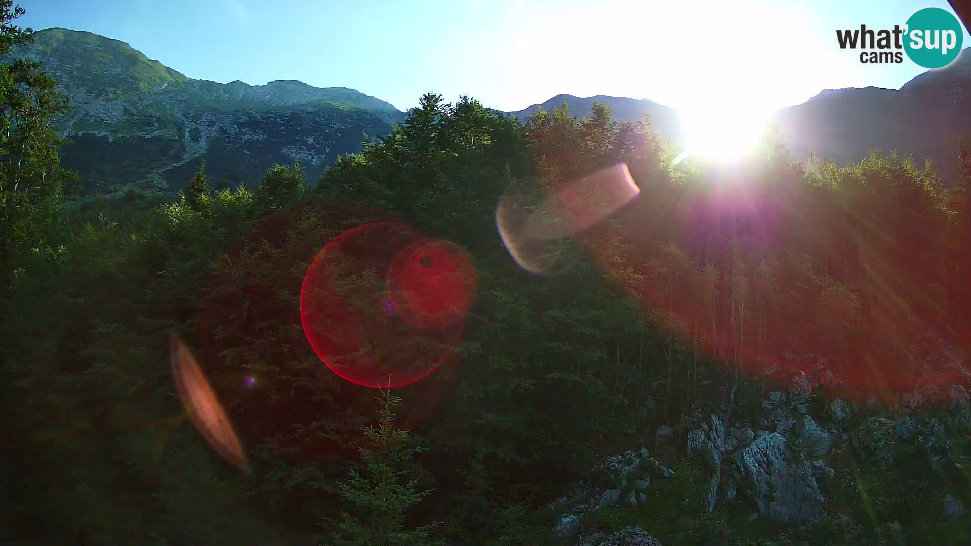 Livecam PLANINA RAZOR (1315) | vue sur Vogel et Globoko