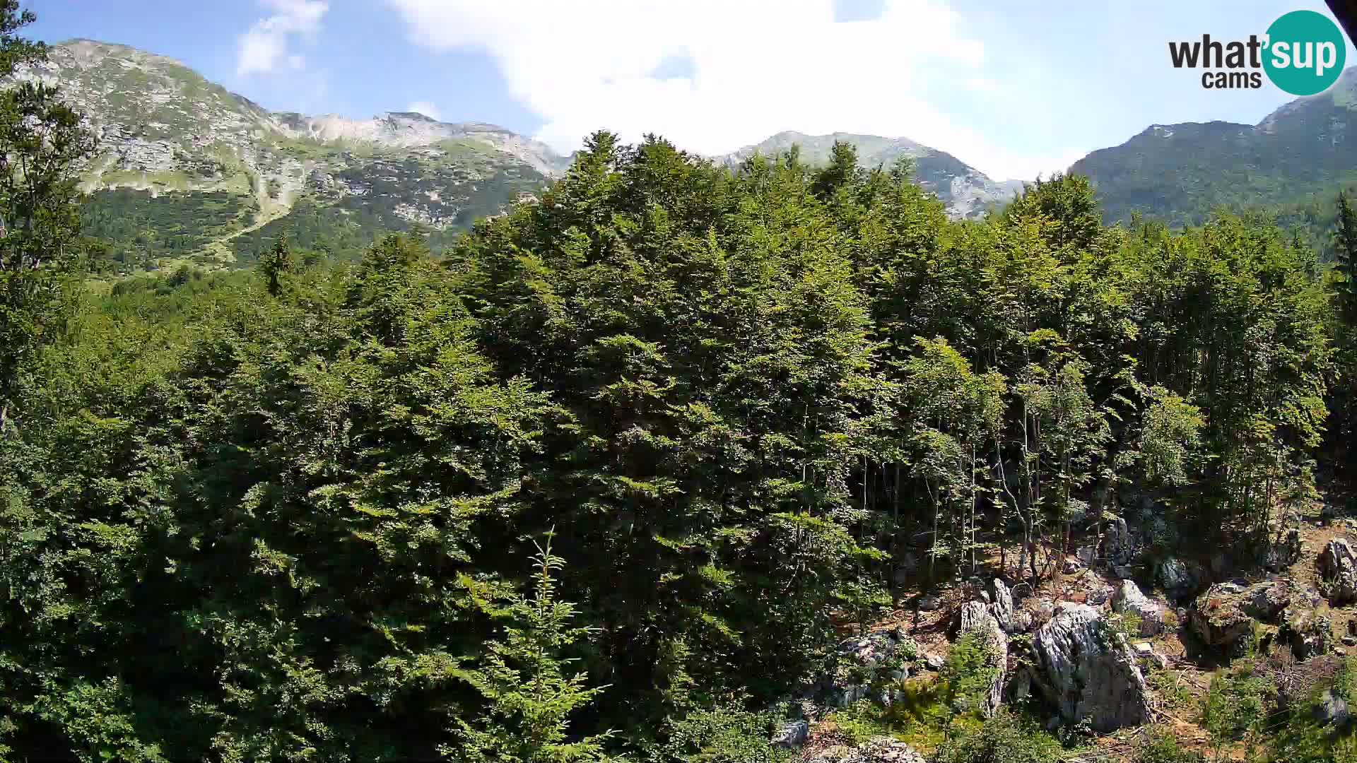 PLANINA RAZOR web kamera (1315) | pogled na Vogel i Globoko