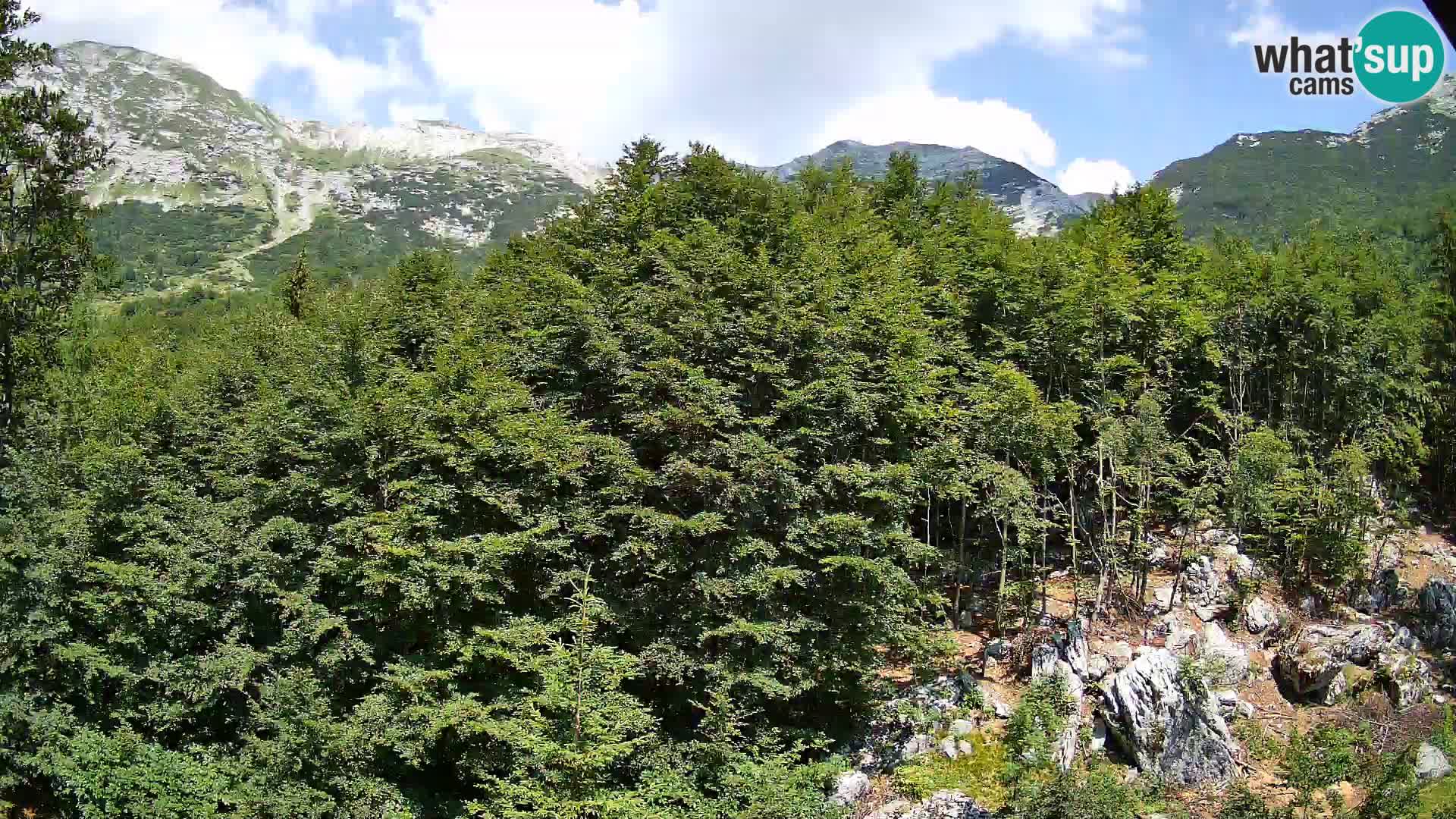 PLANINA RAZOR kamera (1315) | pogled na Vogel in Globoko