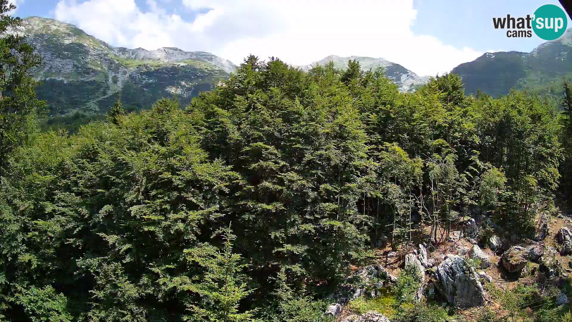 PLANINA RAZOR Live Cam (1315) | vista su Vogel e Globoko