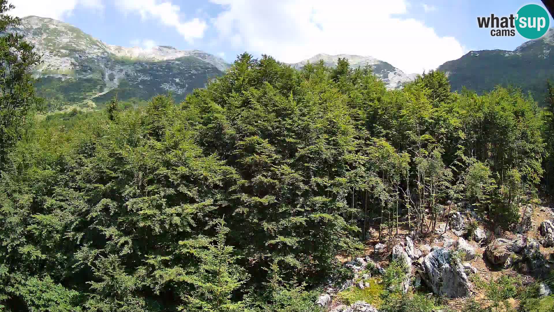 Cámara web PLANINA RAZOR (1315) | vista a Vogel y Globoko