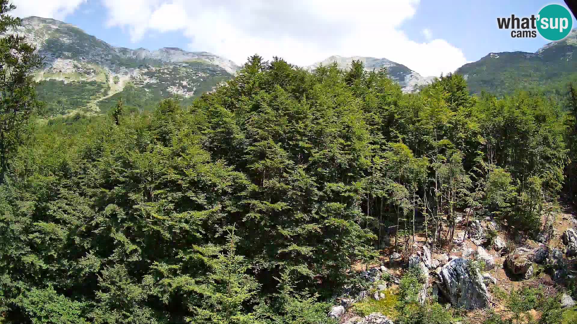 Livecam PLANINA RAZOR (1315) | vue sur Vogel et Globoko