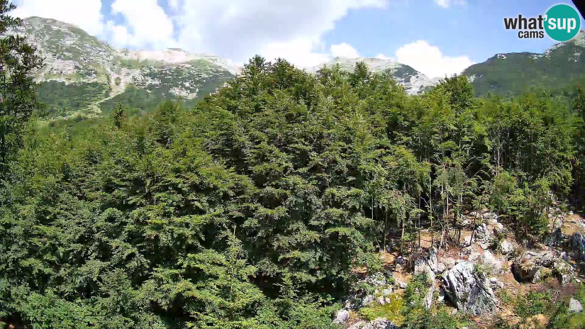 Livecam PLANINA RAZOR (1315) | vue sur Vogel et Globoko