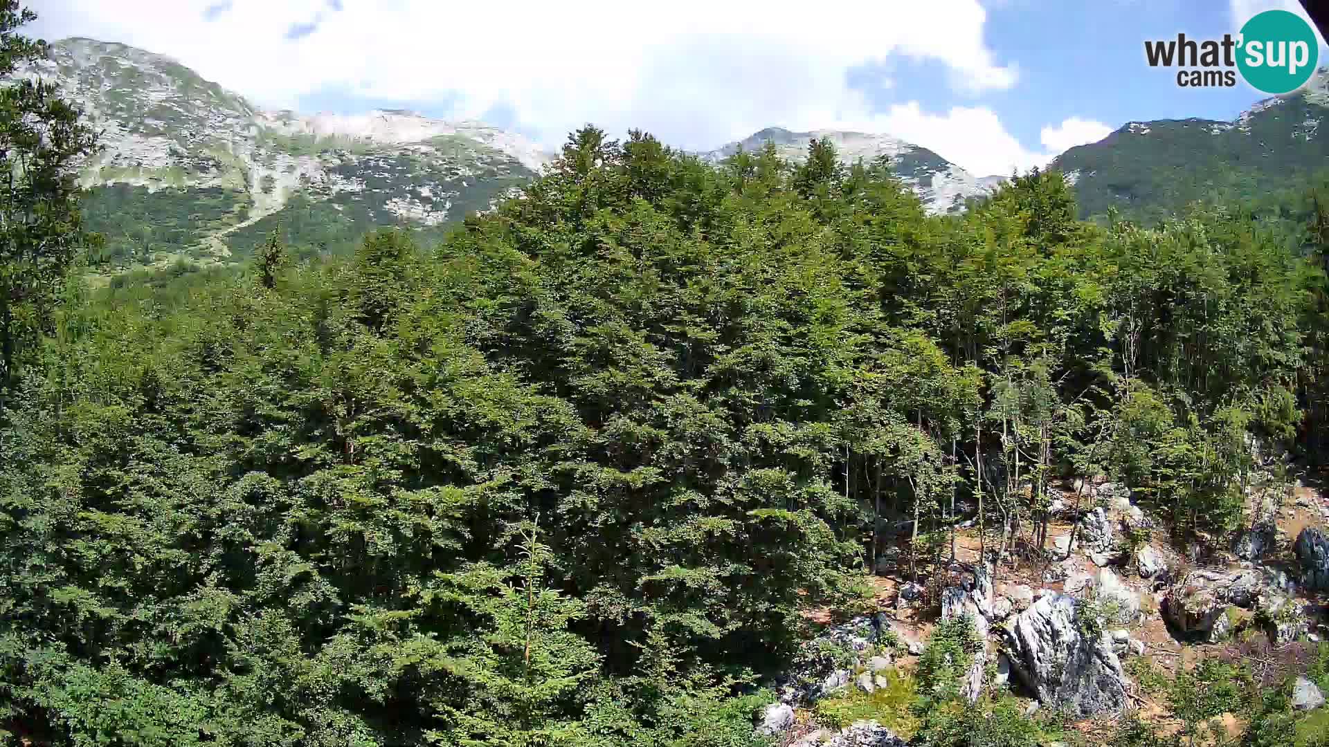 Cámara web PLANINA RAZOR (1315) | vista a Vogel y Globoko