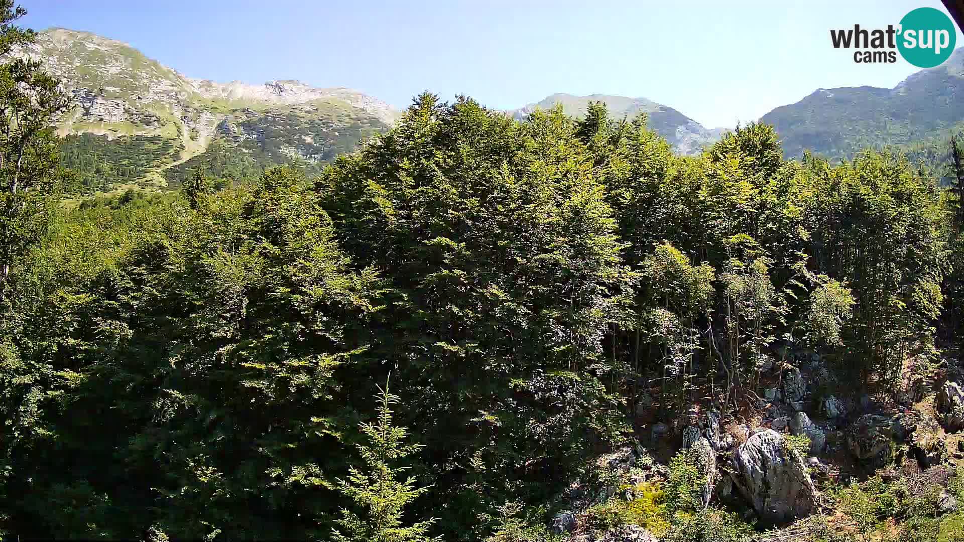 PLANINA RAZOR webcam (1315) | view to Vogel and Globoko