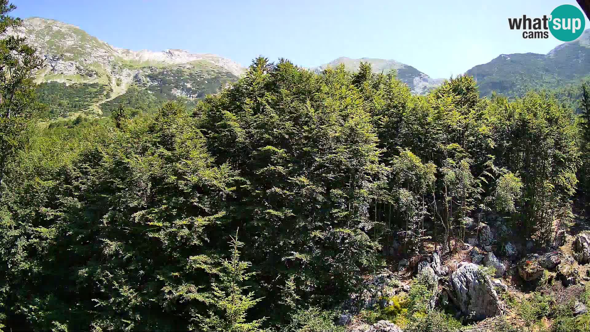 PLANINA RAZOR kamera (1315) | pogled na Vogel in Globoko