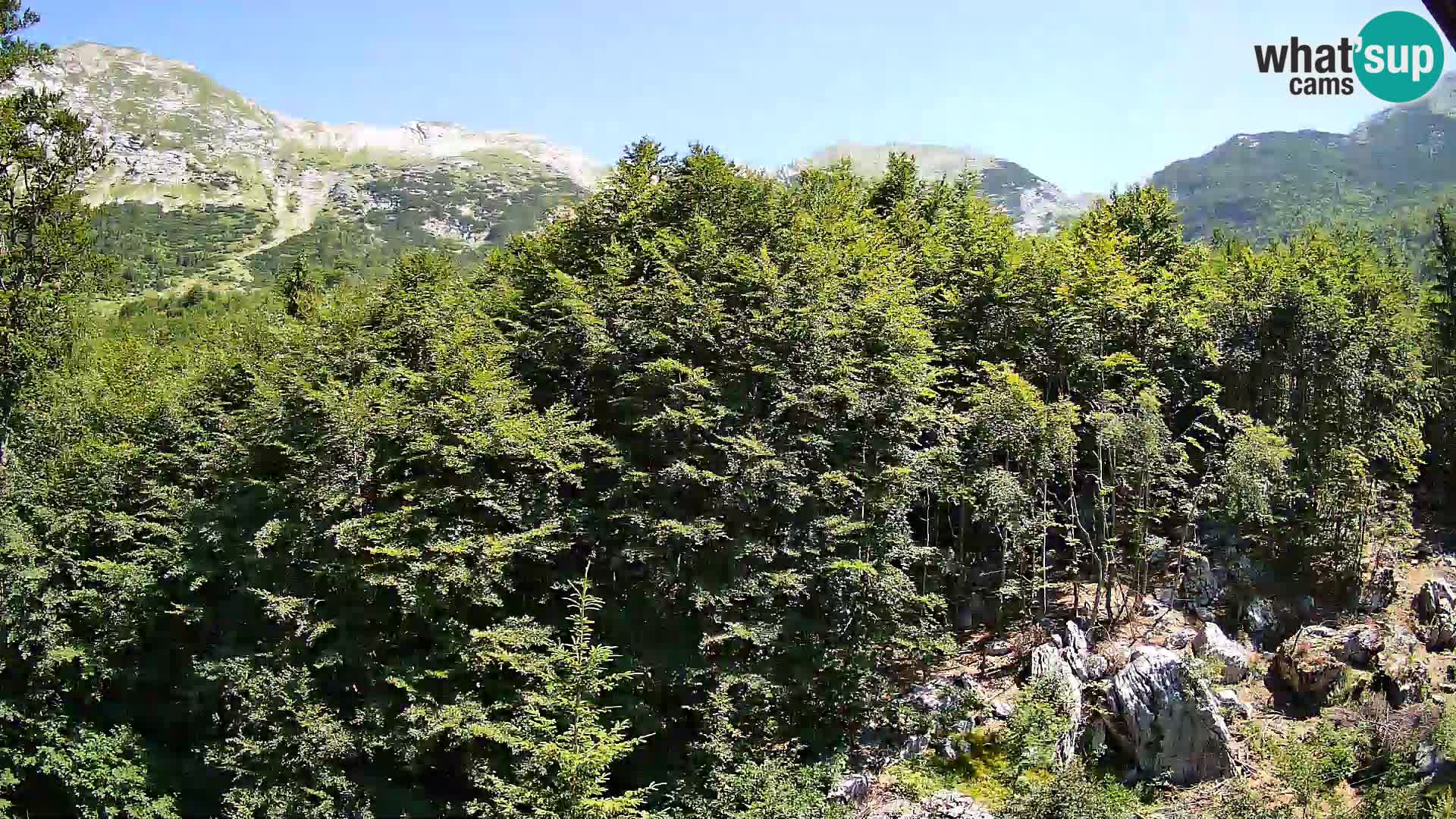 PLANINA RAZOR webcam (1315) | view to Vogel and Globoko
