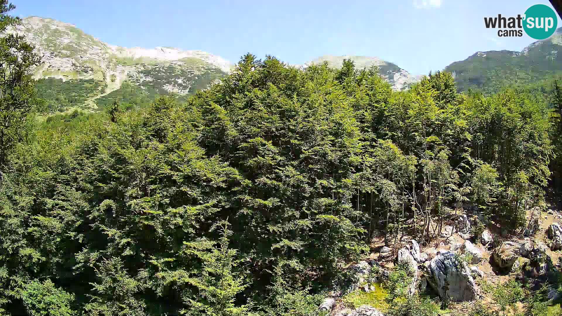 PLANINA RAZOR kamera (1315) | pogled na Vogel in Globoko