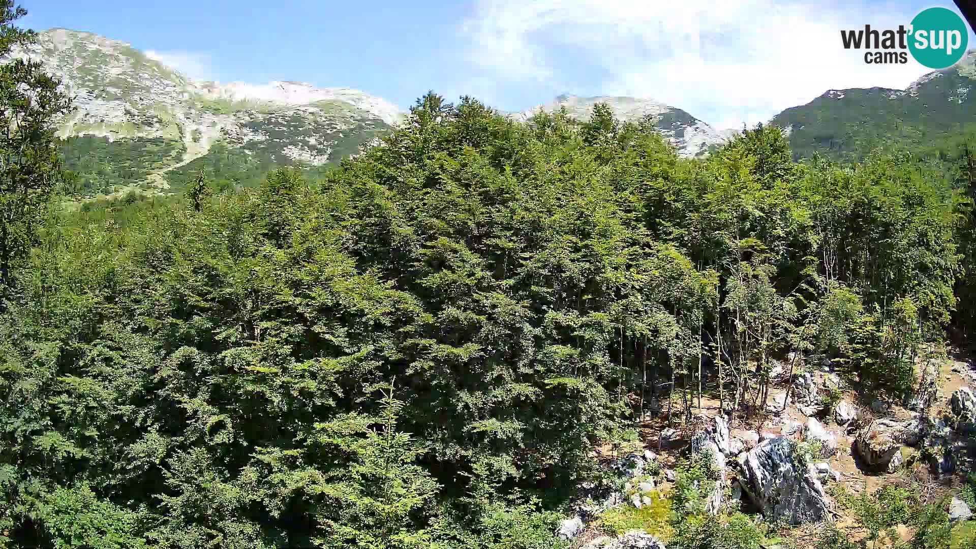 PLANINA RAZOR webcam (1315) | view to Vogel and Globoko