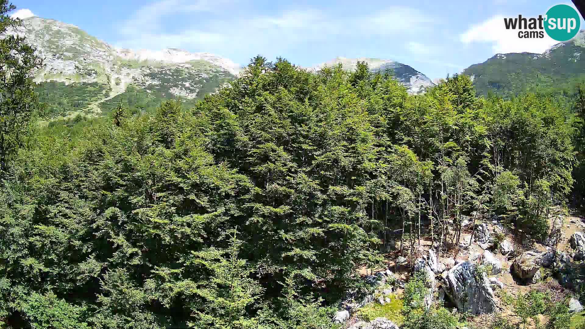 Livecam PLANINA RAZOR (1315) | vue sur Vogel et Globoko