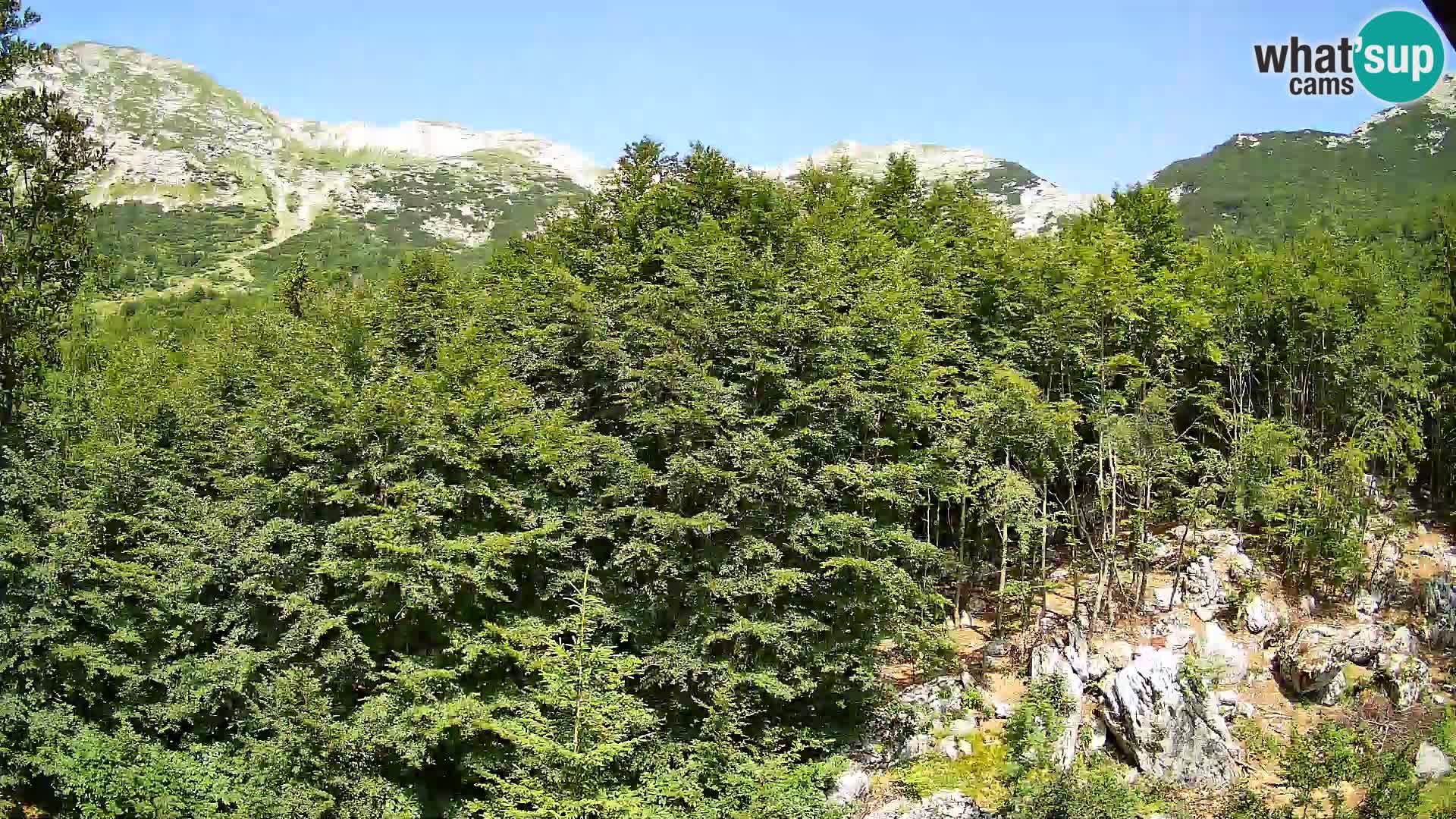 Livecam PLANINA RAZOR (1315) | vue sur Vogel et Globoko