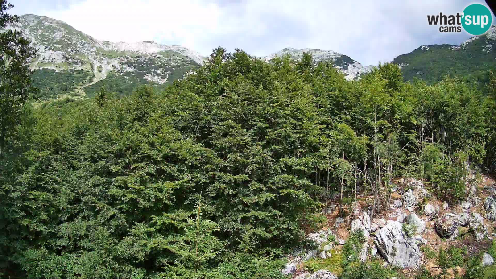 Livecam PLANINA RAZOR (1315) | vue sur Vogel et Globoko