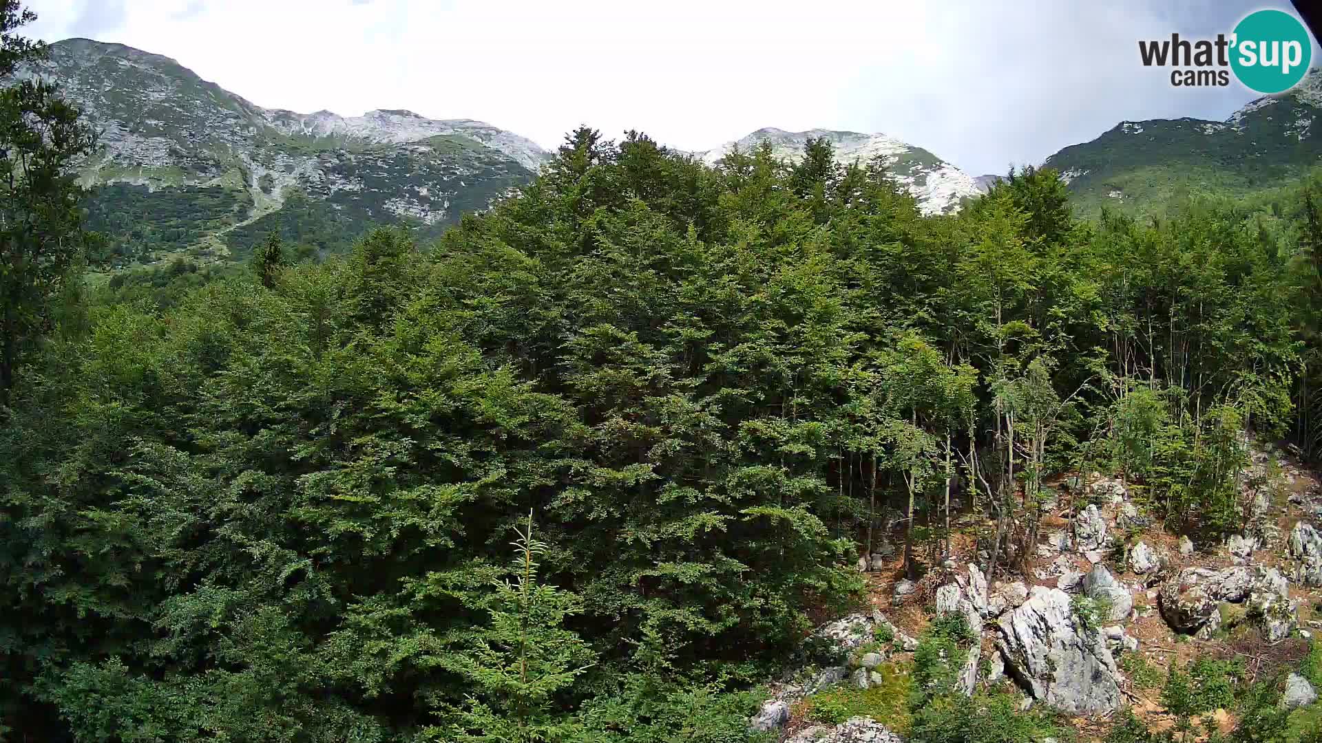 PLANINA RAZOR webcam (1315) | view to Vogel and Globoko