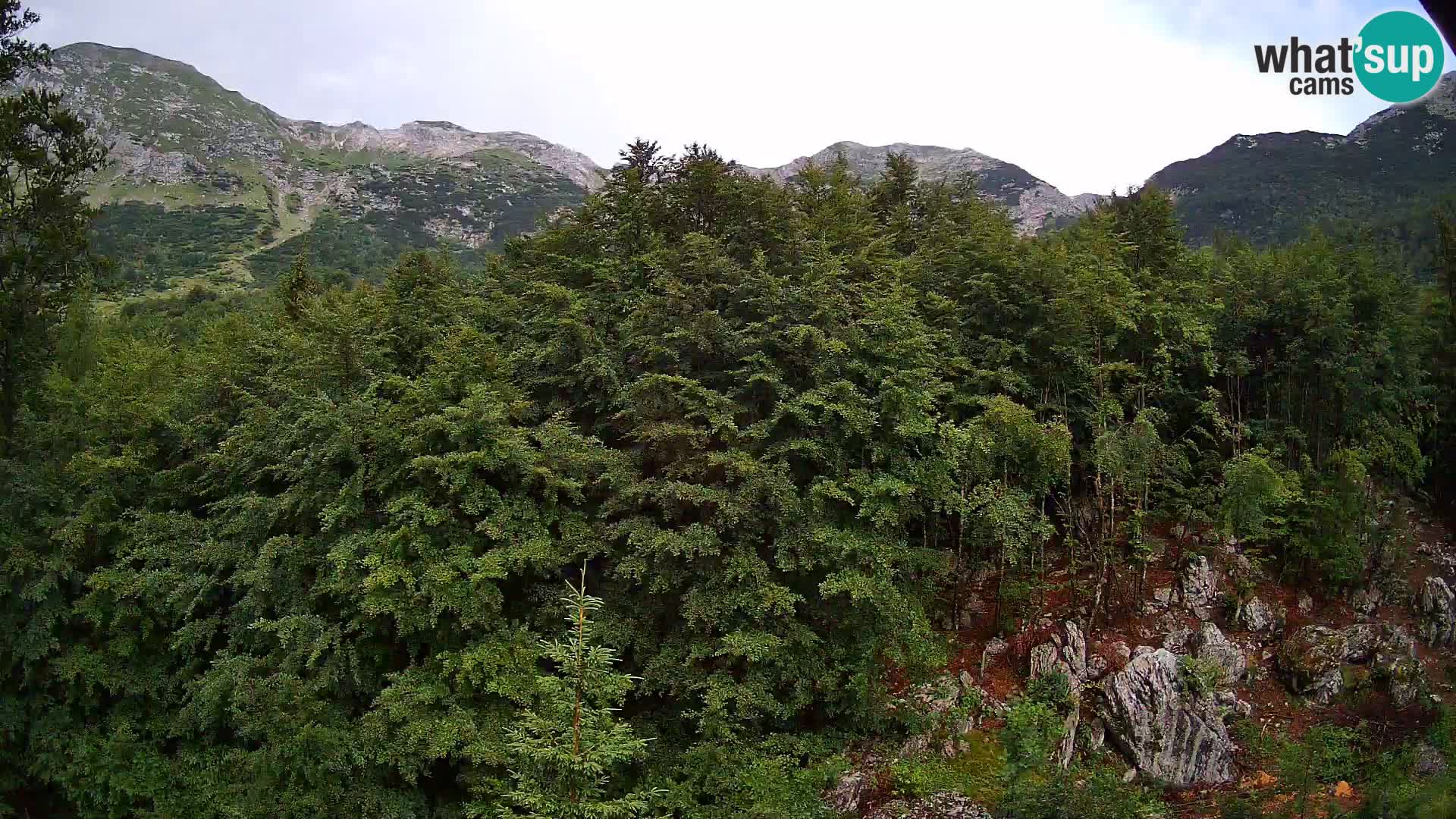 Cámara web PLANINA RAZOR (1315) | vista a Vogel y Globoko