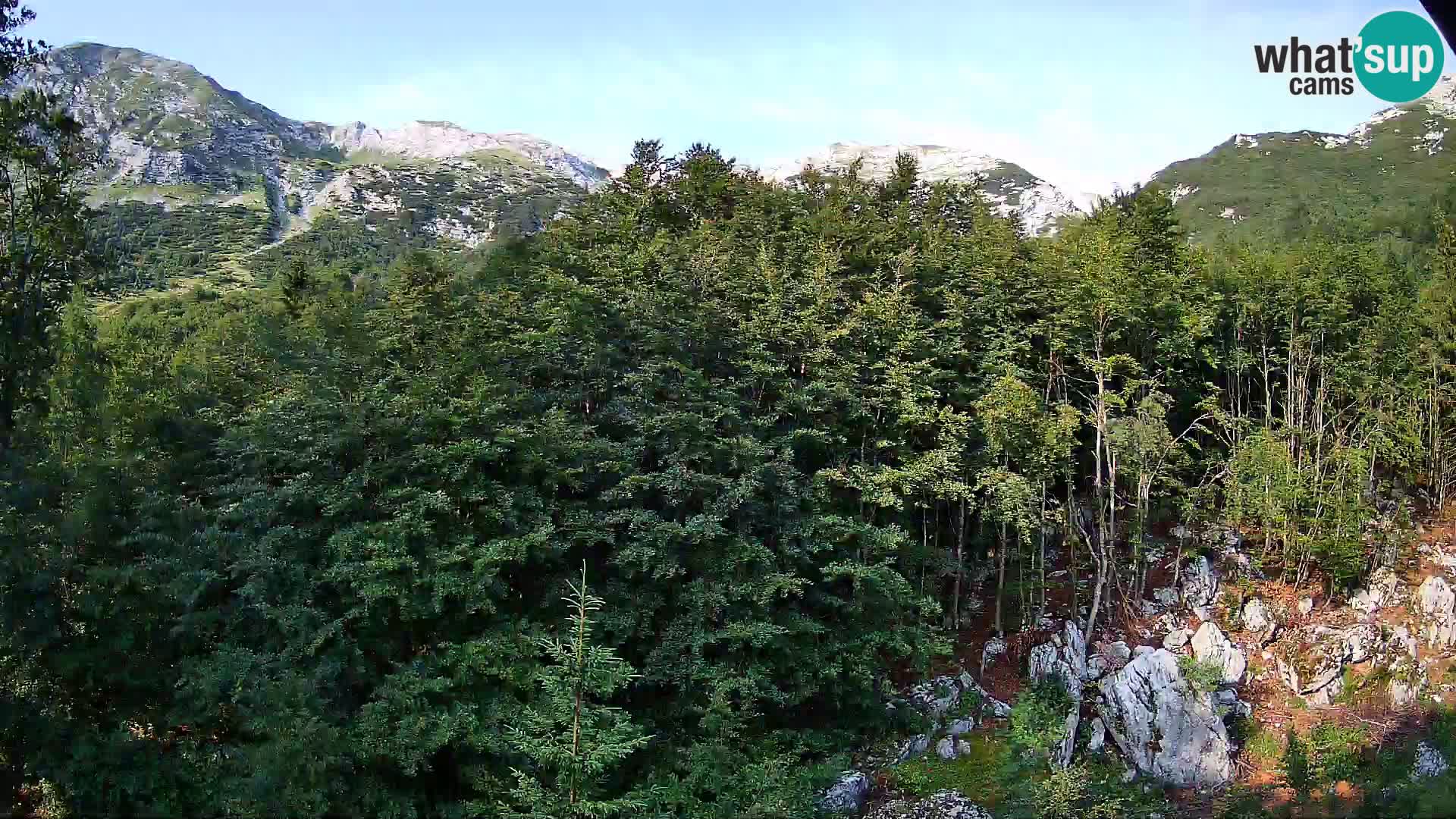Cámara web PLANINA RAZOR (1315) | vista a Vogel y Globoko