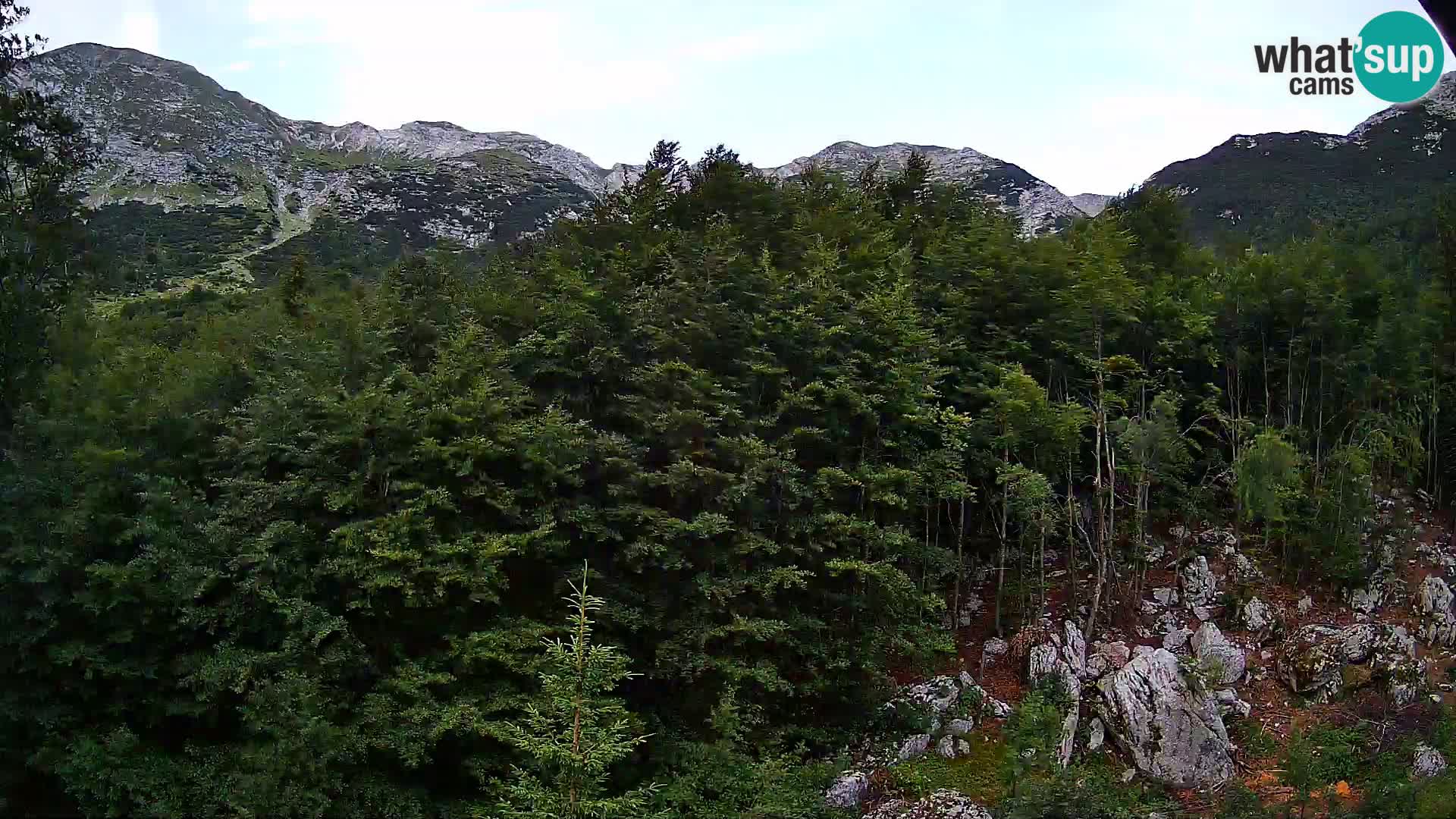 PLANINA RAZOR webcam (1315) | view to Vogel and Globoko