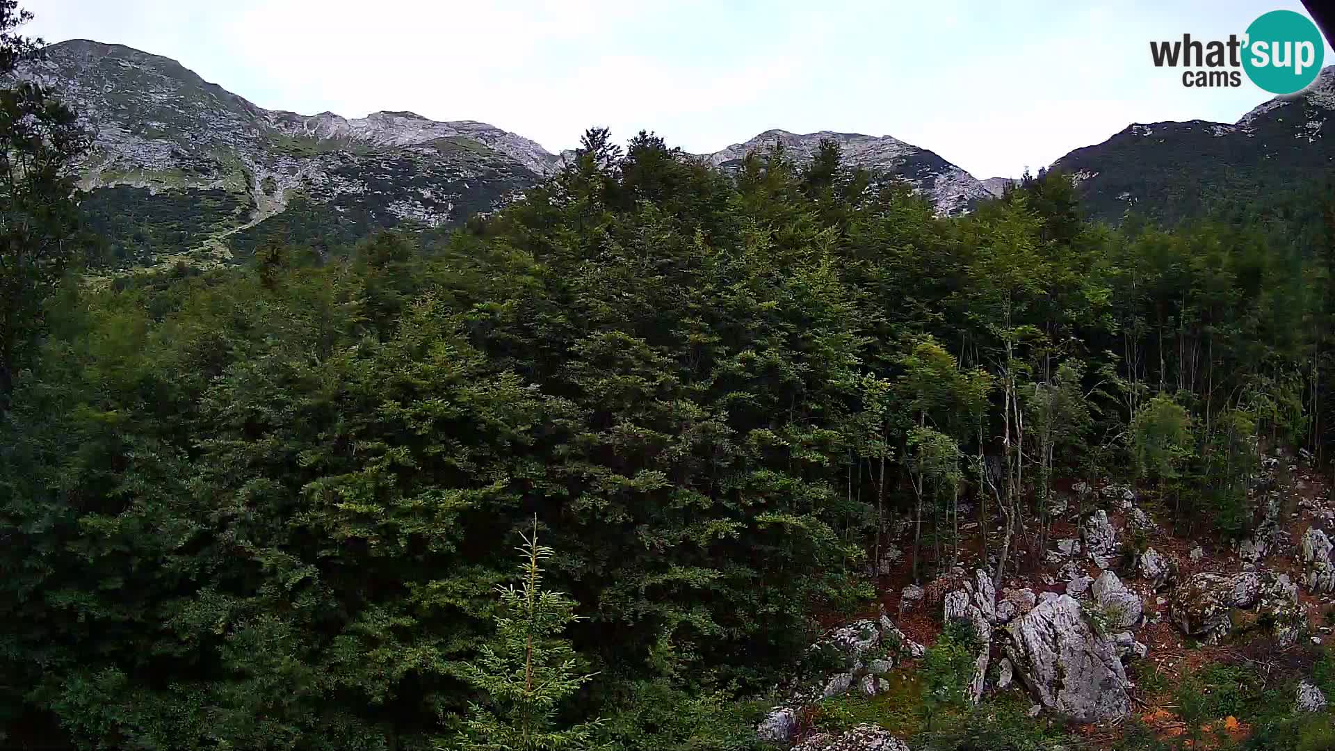Cámara web PLANINA RAZOR (1315) | vista a Vogel y Globoko
