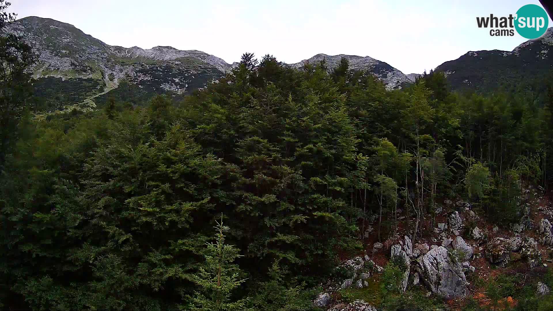 Livecam PLANINA RAZOR (1315) | vue sur Vogel et Globoko