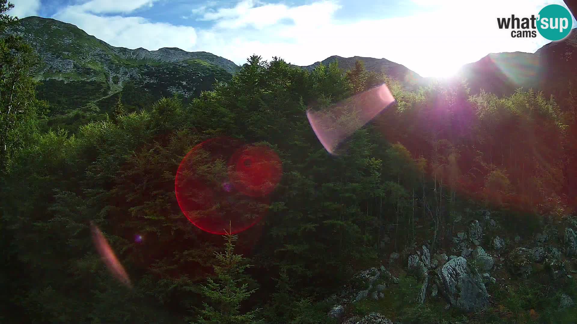 PLANINA RAZOR web kamera (1315) | pogled na Vogel i Globoko