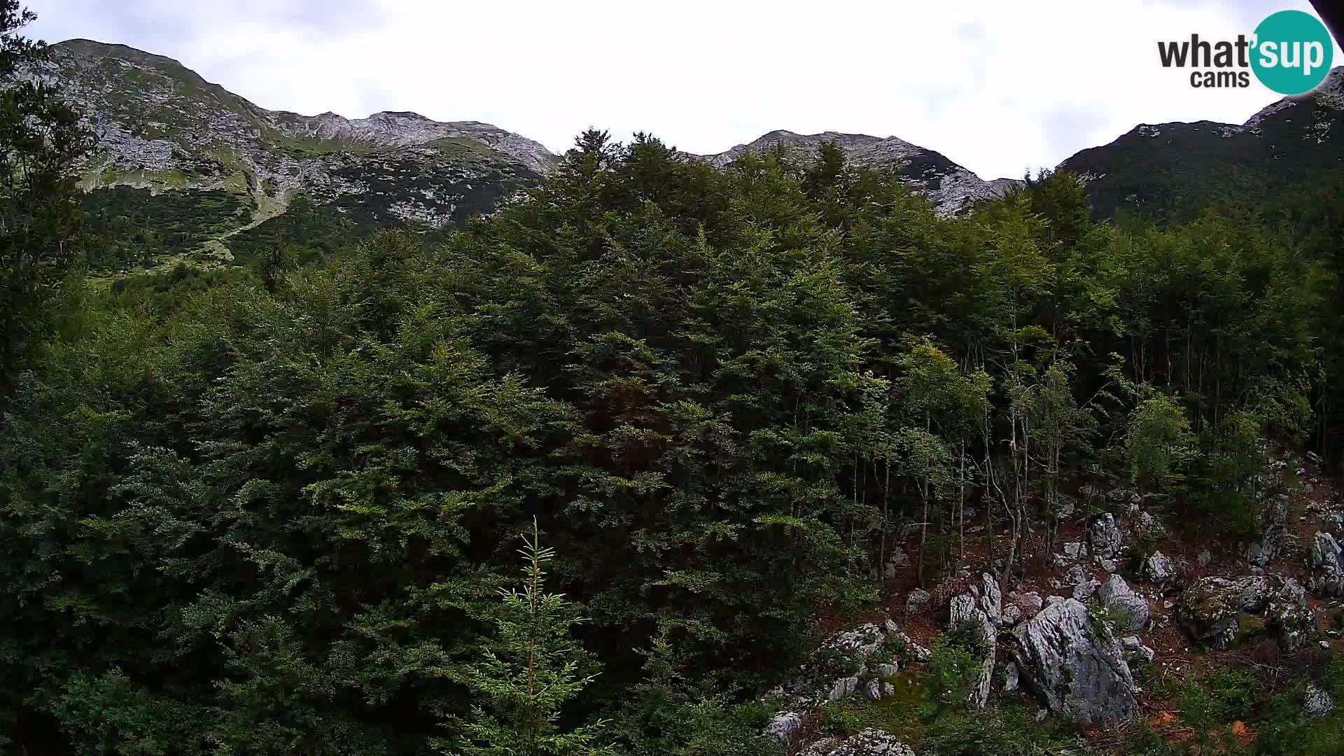 Livecam PLANINA RAZOR (1315) | vue sur Vogel et Globoko