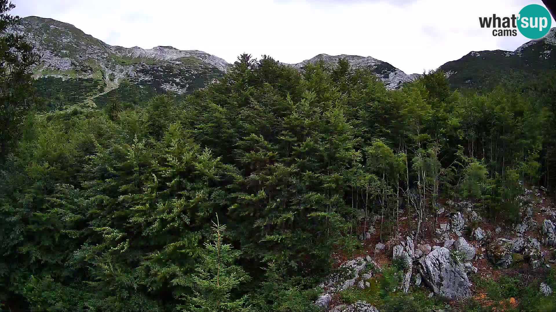 PLANINA RAZOR webcam (1315) | view to Vogel and Globoko
