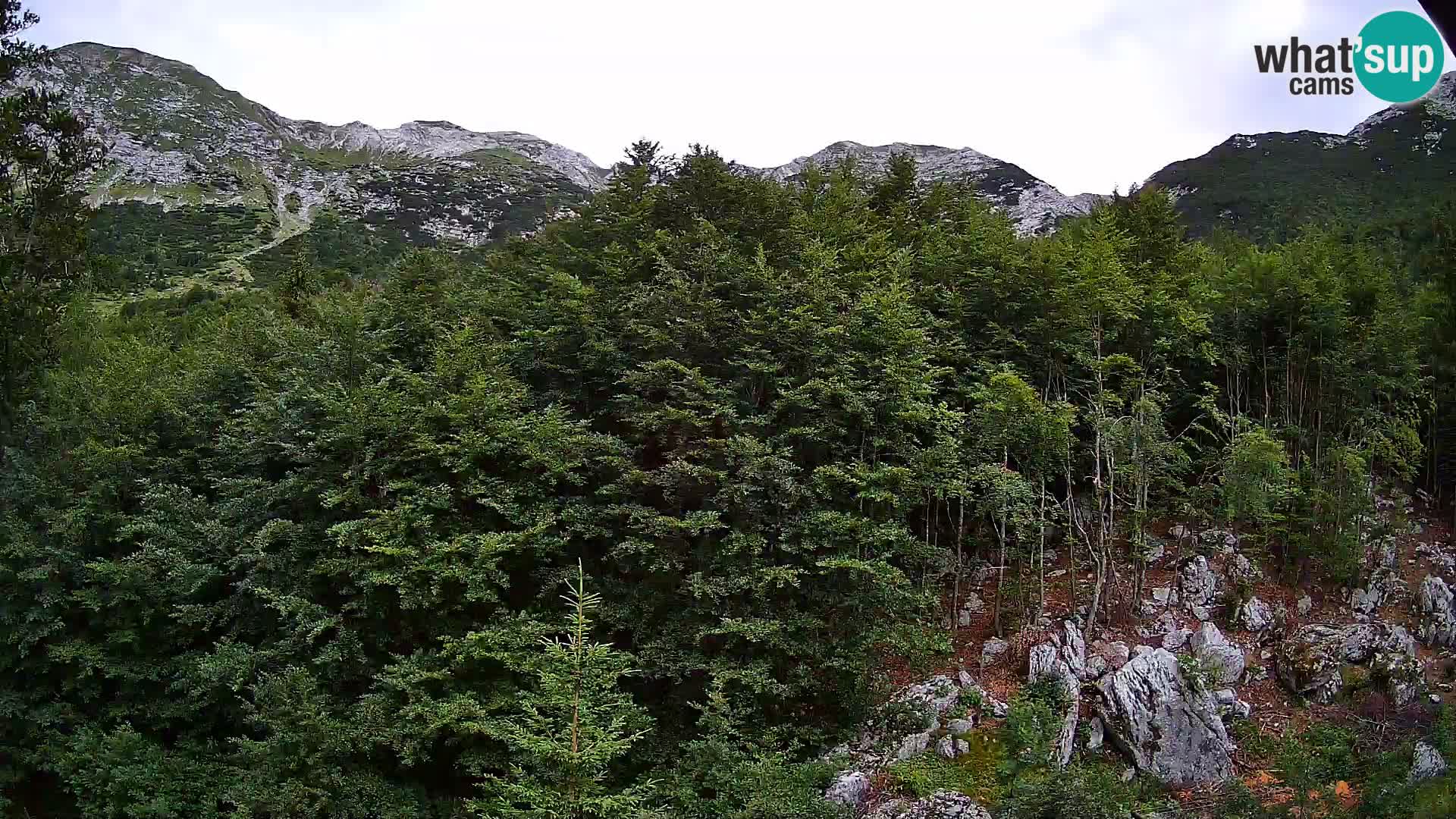 PLANINA RAZOR webcam (1315) | view to Vogel and Globoko