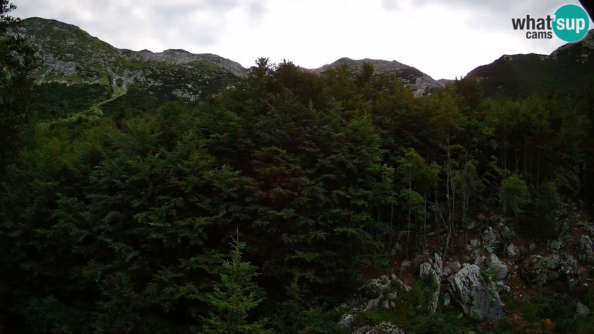 Livecam PLANINA RAZOR (1315) | vue sur Vogel et Globoko