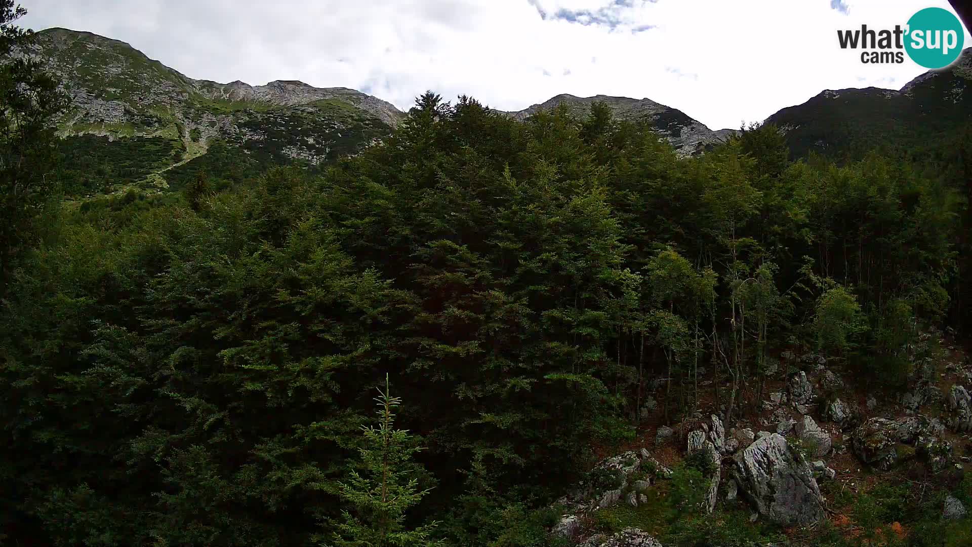 Livecam PLANINA RAZOR (1315) | vue sur Vogel et Globoko