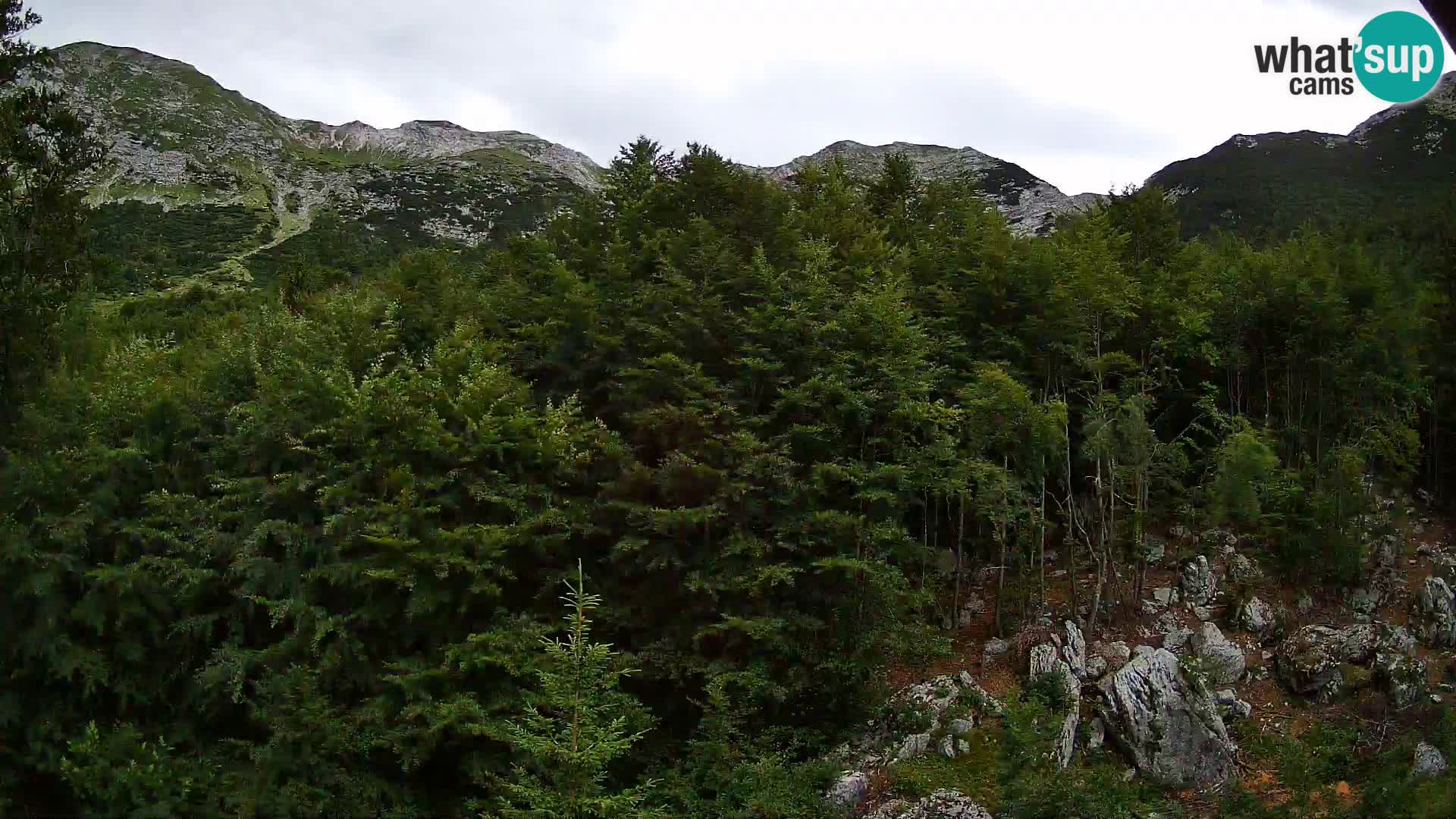 Webcam PLANINA RAZOR (1315) | Blick auf Vogel und Globoko