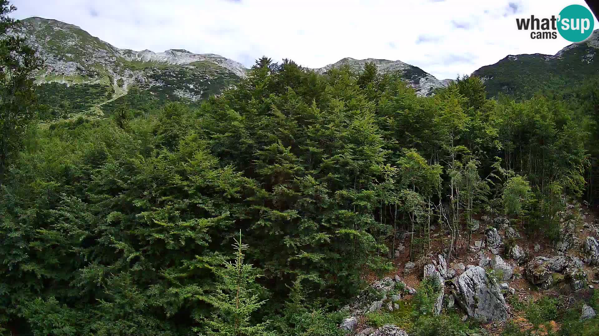 Livecam PLANINA RAZOR (1315) | vue sur Vogel et Globoko