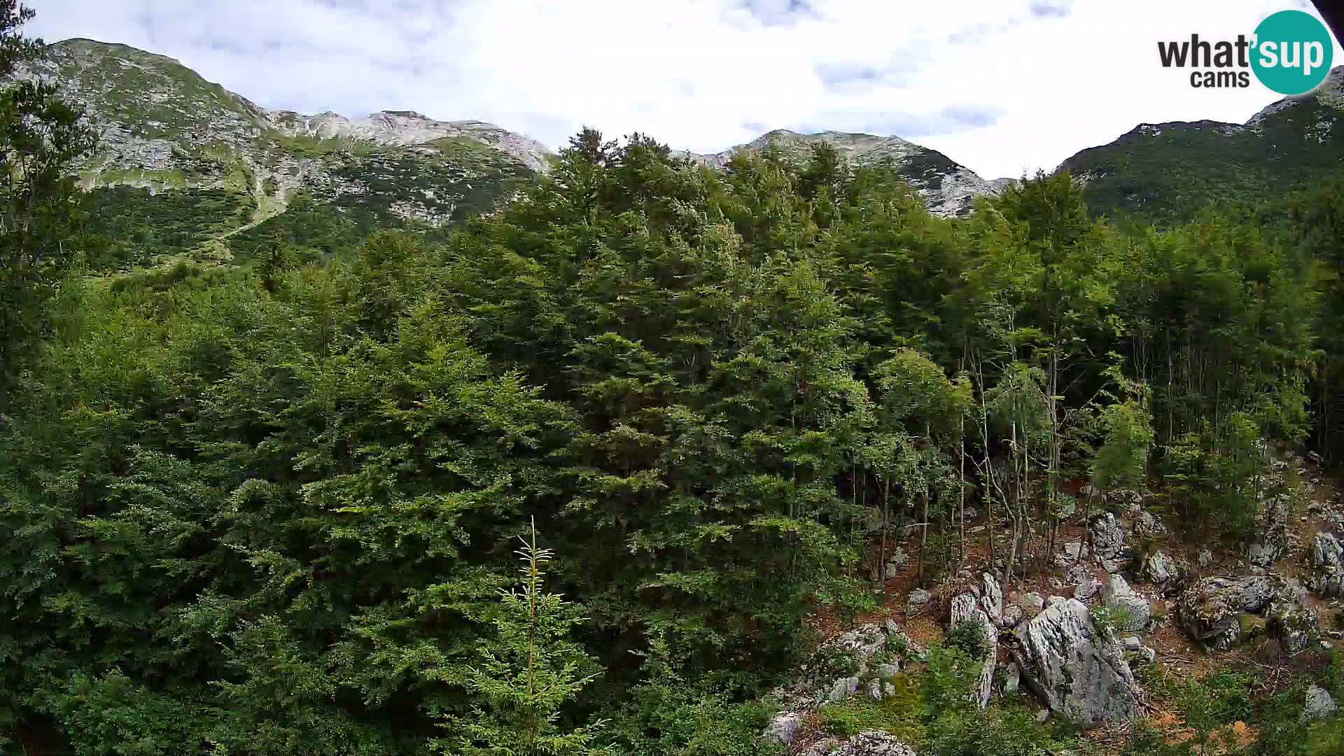 Cámara web PLANINA RAZOR (1315) | vista a Vogel y Globoko