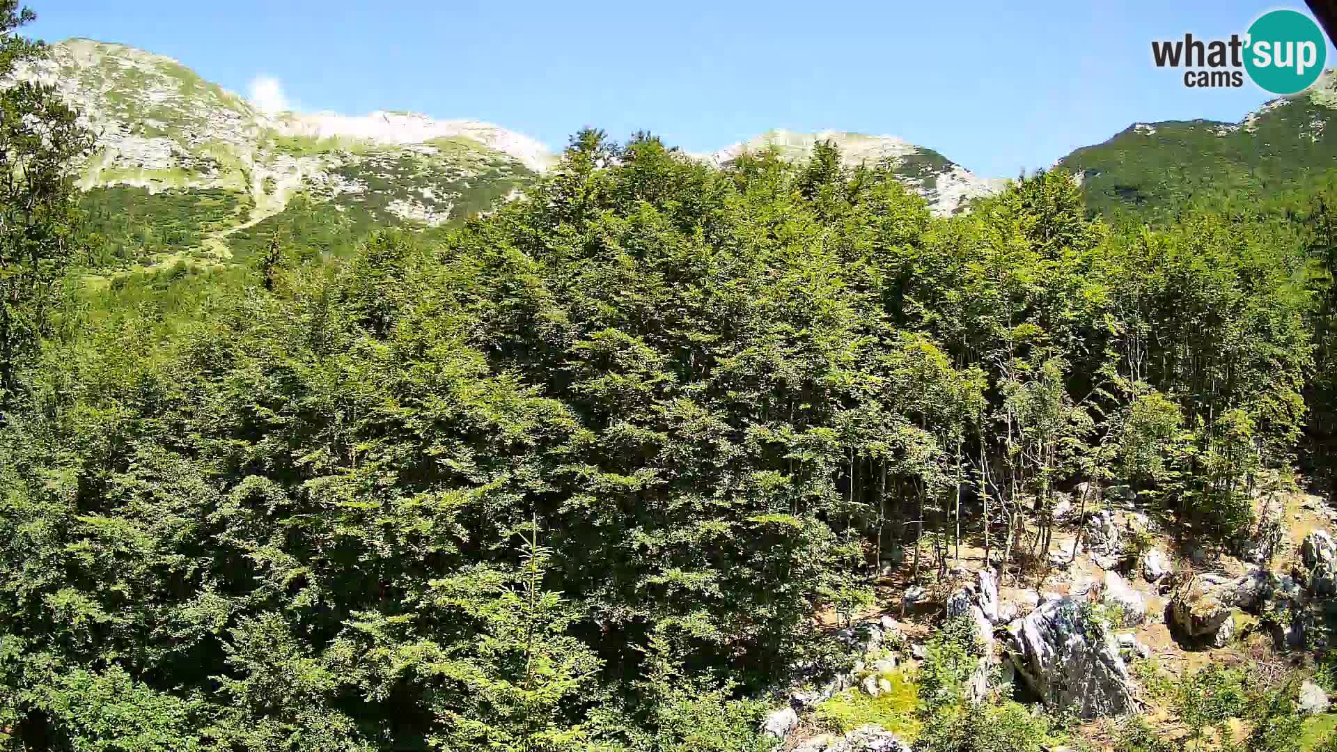 Webcam PLANINA RAZOR (1315) | Blick auf Vogel und Globoko
