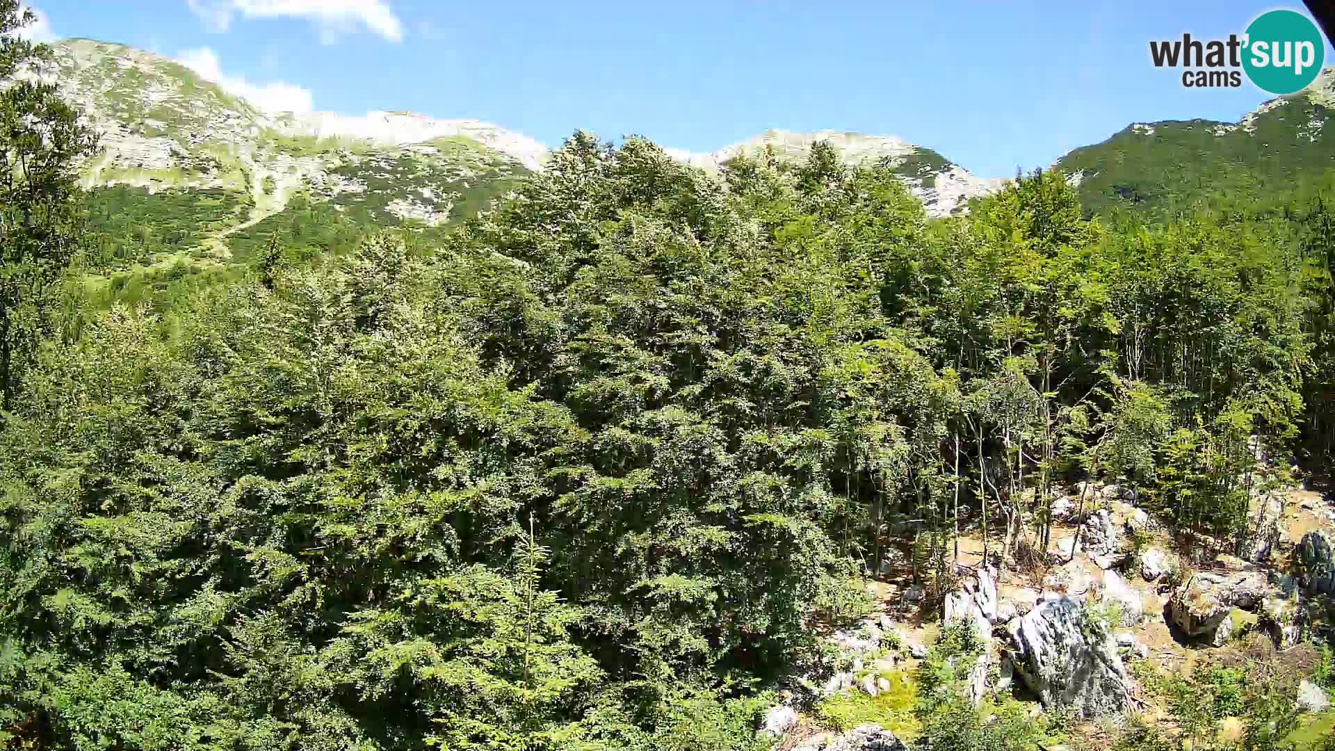 PLANINA RAZOR Live Cam (1315) | vista su Vogel e Globoko